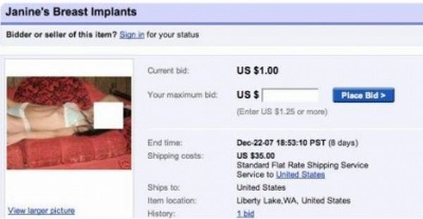 Funny eBay Auctions